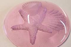 starfish